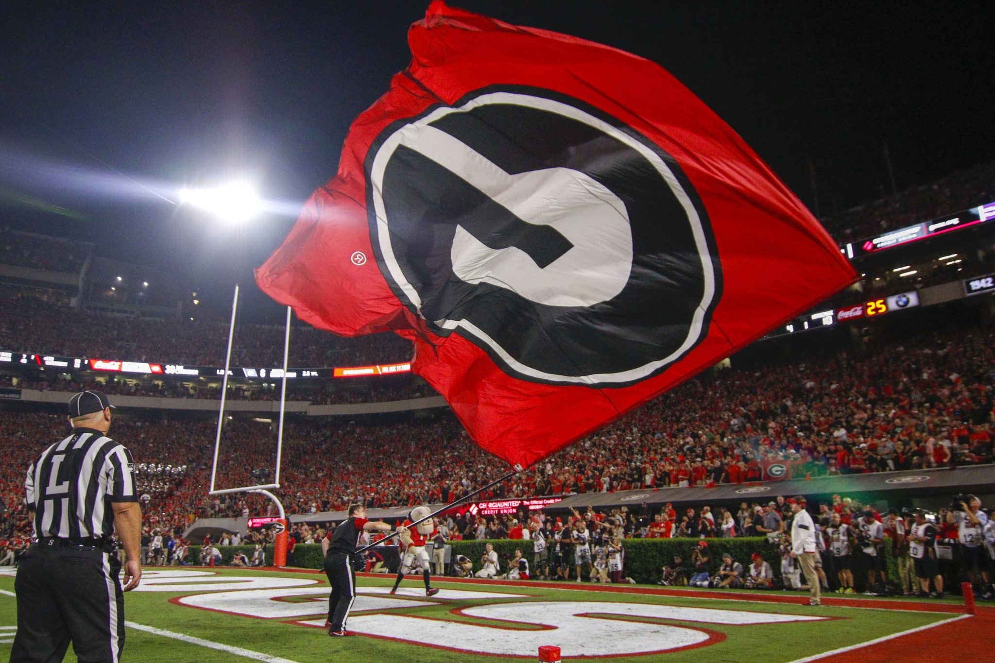 Georgia football flag.